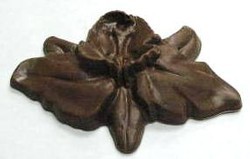Chocolate Orchid Large