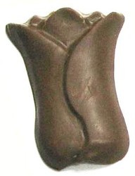 Chocolate Tulip Large