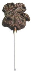 Chocolate Iris on a Stick Small