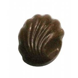 Chocolate Candy Shell w/ Scallop