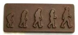 Chocolate Evolution Rectangle