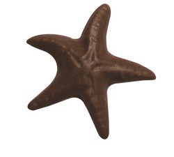Chocolate Starfish in Motion