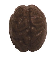 Chocolate Brain Mini