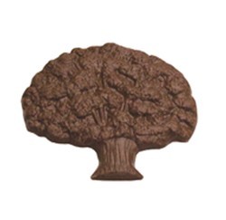 Chocolate Tree Large