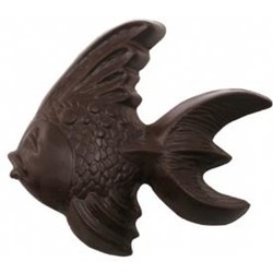 Chocolate Gold Fish Large Fancy