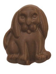 Chocolate Dog Cocker Spaniel
