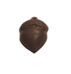 Chocolate Acorn Med