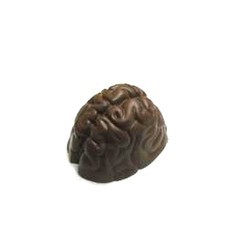 Chocolate Brain Large