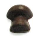 Chocolate Mushroom Thick