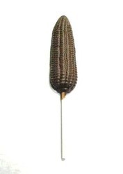 Chocolate Corn Large on a Stick - Click Image to Close