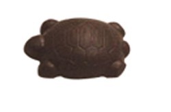 Chocolate Turtle Short Tail