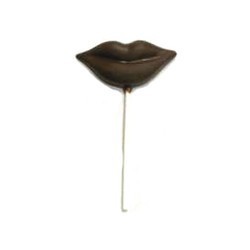 Chocolate Lip Large on a Stick