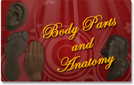 Body Parts and Anatomy