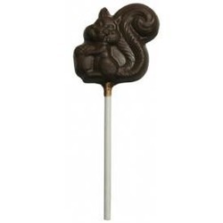 Chocolate Squirrel - on a Stick