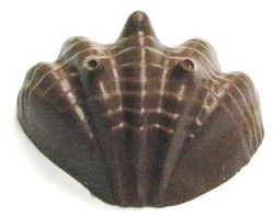 Chocolate Shell Large - Click Image to Close