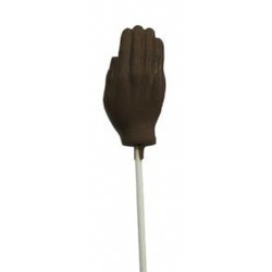 Chocolate Hand on a Stick