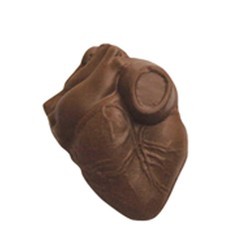 Chocolate Human Heart Mini 3D
