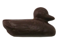Chocolate Duck Swimming